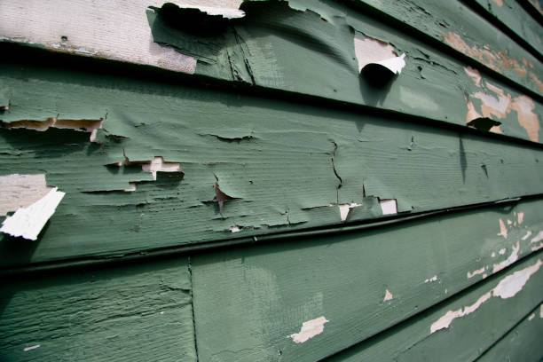 Best Recycling Services for Junk  in Grabill, IN